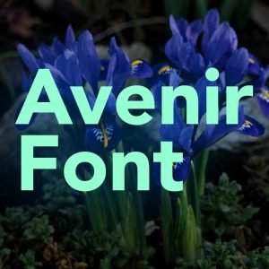 avenir font